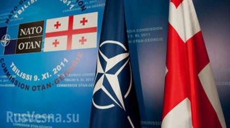 Грузия назвала предполагаемые сроки вступления в НАТО