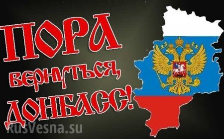 В Госдуме призывают упростить миграционную политику для граждан ДНР и ЛНР