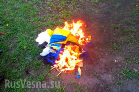 Парень с девушкой сорвали и подожгли флаг Украины в оккупированой части ДНР