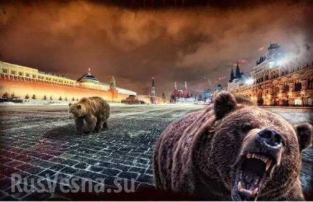 «В Москву будут ходить только медведи: на Украине подписали документ об ограничении сообщения с Россией