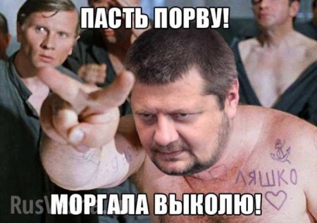 «Не ходи на гей-парады, животное!» — Мосийчук получил по шее в прямом эфире (ВИДЕО)