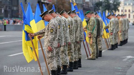 «Пародия независимости»: в Госдуме ответили на слова о «землетрясении в Кремле» от парада в Киеве