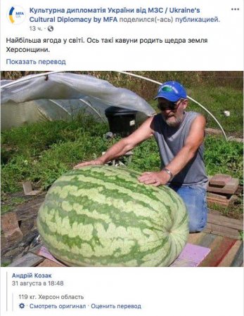МИД Украины опозорился, опубликовав фейк о гигантском арбузе (ФОТО)