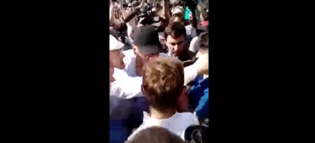Видео: Жириновский ударил протестующего в Москве