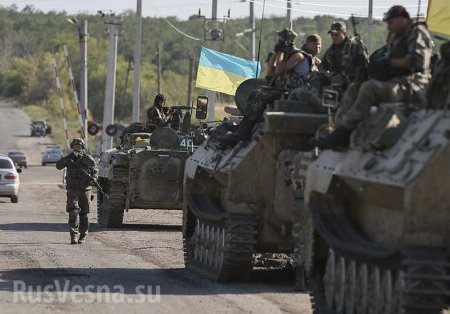 На Украине заявили о «взятии под контроль» хутора на Донбассе (ВИДЕО)