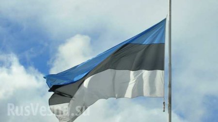 В Эстонии подсчитают ущерб от «оккупации», несмотря на заявление главы МИД