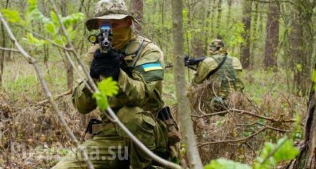 Уничтожена украинская ДРГ: сводка о военной ситуации на Донбассе