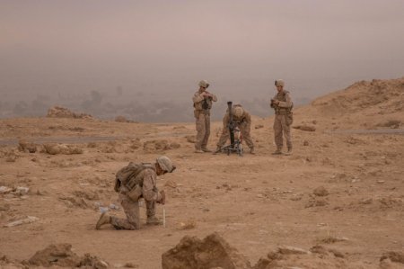 Американский спецназ и кинологи в провинции Дейр-эз-Зор