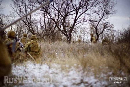 СРОЧНО: ВСУ заявили о захвате населённого пункта на Донбассе (ФОТО, ВИДЕО)