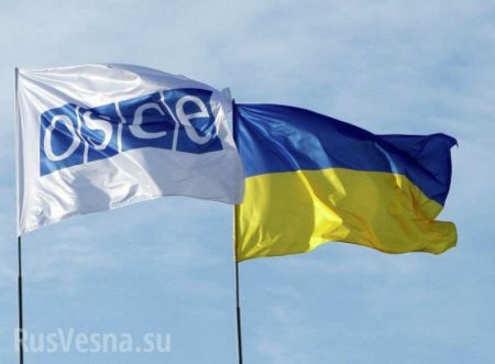 Зрада: В ОБСЕ заявили, что жители Украины не обязаны говорить на украинском языке