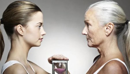 Как отложить старение организма?