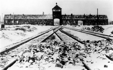 Освенцим: машина смерти глазами освободителей.