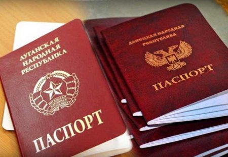 Более 85 тыс. жителей ЛНР получили гражданство России в упрощенном порядке