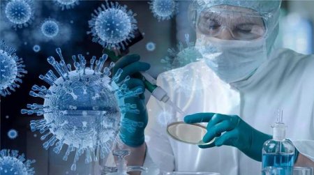 Антитела к коронавирусу обнаружились у каждого седьмого из сдавших тест в «Инвитро»