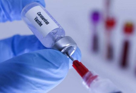 Россия первой в мире зарегистрирует вакцину от COVID-19 — названа дата