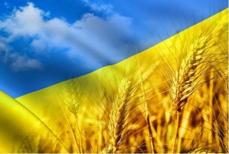 Новости аграрной супердержавы: Украина начала импортировать польскую свеклу