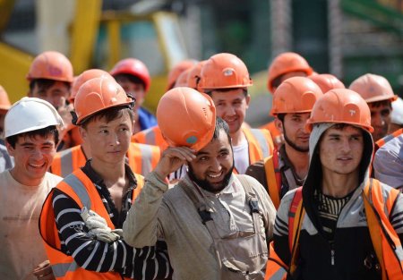 МВД предупредило нелегальных мигрантов и их работодателей о жёстких санкциях после Нового года