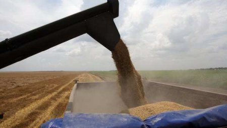 Украина вывозит зерно в Европу, оставаясь ни с чем