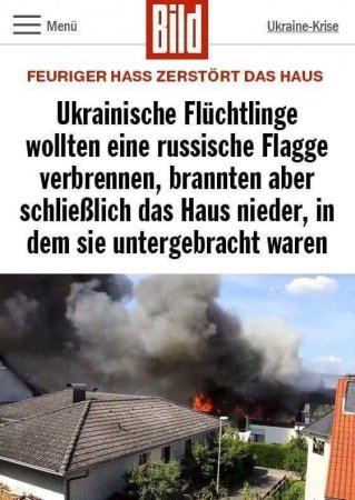 Редкостные придурки: украинские беженцы хотели сжечь российский флаг, но сожгли до тла только дом, в котором сами жили