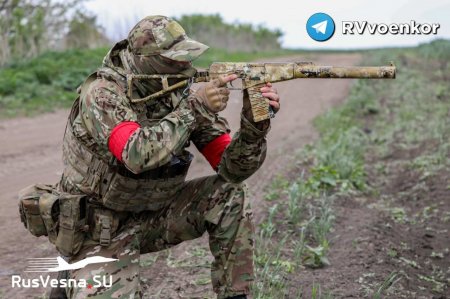 Снайпер спецназа «Отважных» ведёт охоту на ВСУ в лесу у Красного Лимана (ВИДЕО)