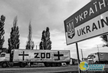 Россия передала Украине «200-х»