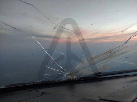 Российский самолет столкнулся с птицей и три часа кружил в небе