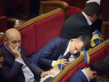 Рада приняла законопроект об особом статусе поляков на Украине