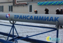 В ООН считают, что запуск аммиакопровода Тольятти-Одесса близок