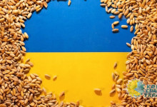 Польша согласилась возобновить транзит украинского зерна
