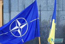 Сенат Польши запустил процедуру принятия Украины в НАТО по упрощённой проце ...