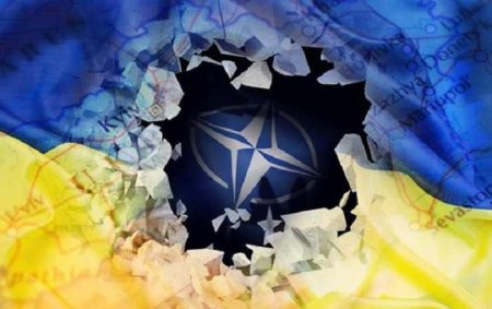 США считают, что Украине не стоит вступать в НАТО — Le Monde