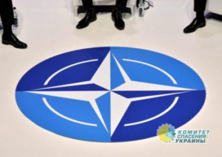 Украину не позвали на саммит НАТО