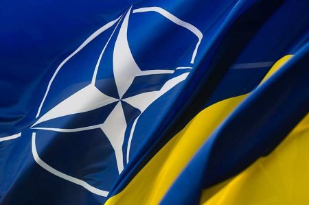 НАТО и Украина: Драма в трёх частях