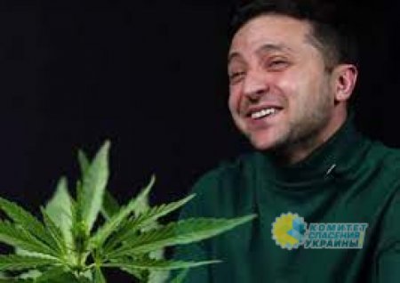 В Киеве захотели выращивать марихуану в Крыму