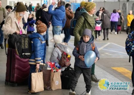 Власти Ирландии отказались бесплатно кормить украинских беженцев