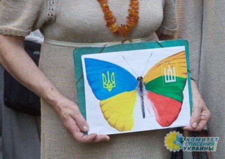 Литва выделила Украине новый пакет помощи на €41 млн.