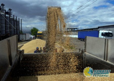 15 сентября истекает запрет на импорт зерна из Украины