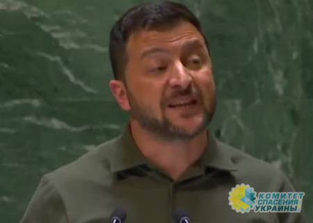 На Украине сфальцифицировали видео выступления Зеленского в ООН
