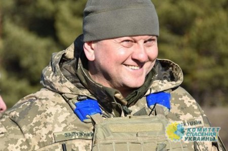 Бывший премьер Украины назвал, что мешает Зеленскому убрать Залужного