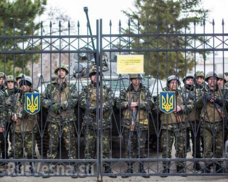 Украинские власти опять заговорили о возвращении мужчин из-за границы для службы в армии