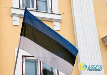 Эстонцы готовы высылать украинцев призывного возраста на родину