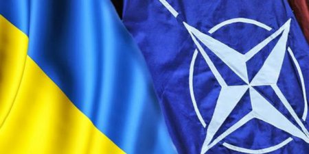 В ВСУ создадут подразделение быстрого реагирования при консультативной помощи НАТО – СМИ