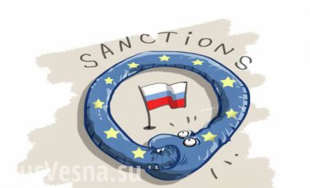 Маттиас Вестман: санкциями против России Запад забил гол в собственные ворота