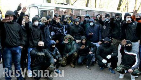 Во Львове попытка сноса памятника закончилась массовой дракой радикалов и полиции (ВИДЕО)