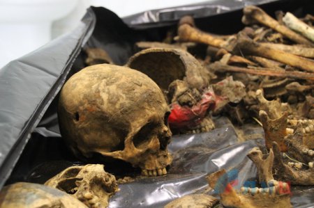 Эксперты начали изучать найденные под Лутугино останки жертв украинских нацбатов (ФОТО, ВИДЕО 18+)