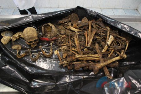 Эксперты начали изучать найденные под Лутугино останки жертв украинских нацбатов (ФОТО, ВИДЕО 18+)