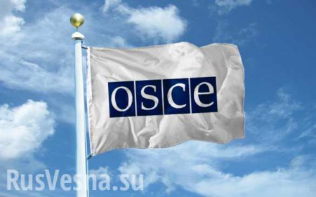 Пришла зрада откуда не ждали: Киев обвинил ОБСЕ в попытке «легализировать аннексию Крыма»