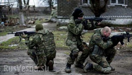 Убитый солдат ВСУ раскрыл тайну украинских карателей в «серой зоне» (ВИДЕО 18+)
