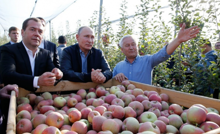 Путин рассказал, в чем секрет его работоспособности