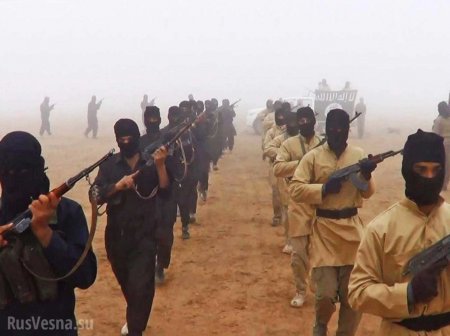 Сирия: Террористы ИГИЛ захватили в плен около 700 человек